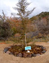 garden-of-transformation-james