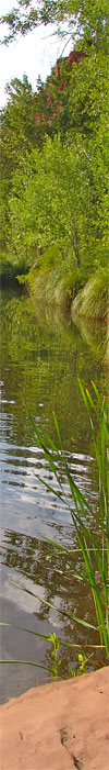 nature-temple-left