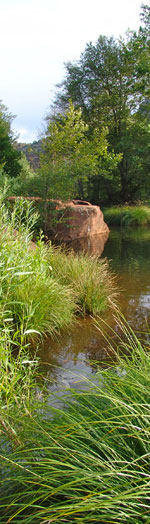 new-paradigm-creek-east