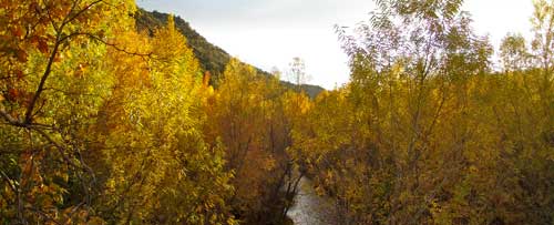 2012-11-fall