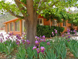 dining-exterior