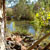 Ash on a river - a bit of an adventure!
