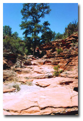 Hiking